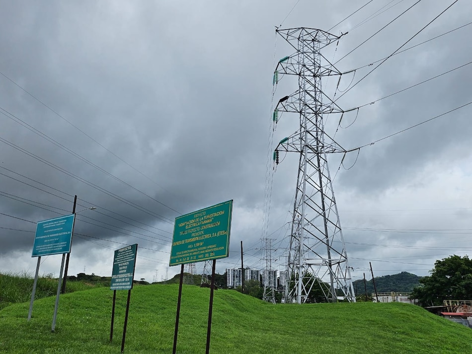 Etesa dará detalles de licitación de energía a empresas interesadas en participar