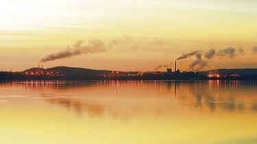 La contaminación altera las neuronas
