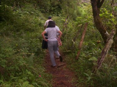 Suspenden reinicio de búsqueda en caso de holandesas por mal tiempo