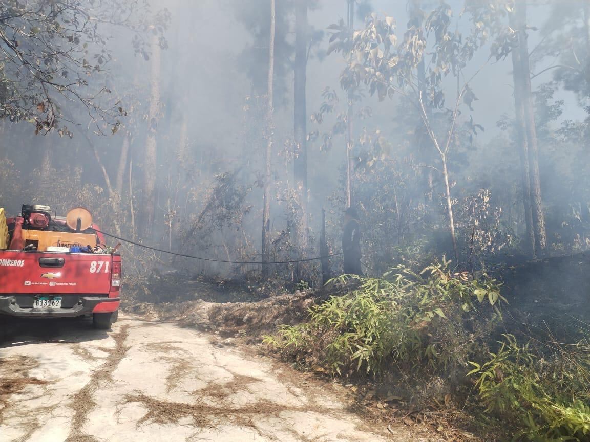 Panamá en Llamas: 47 Mil Incendios en 25 Años