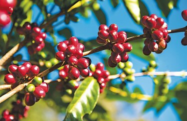 Promoción de productos panameños llegó a 68 países