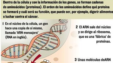 Claves para nuevos fármacos