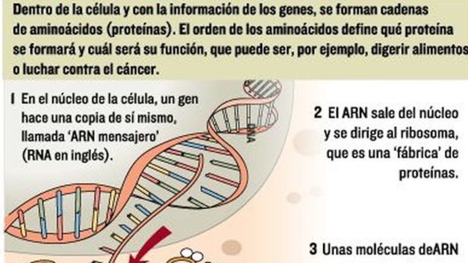 Claves para nuevos fármacos