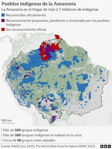 Los gráficos, mapas y fotos que muestran la lenta muerte de la Amazonía y por qué el mundo debería preocuparse