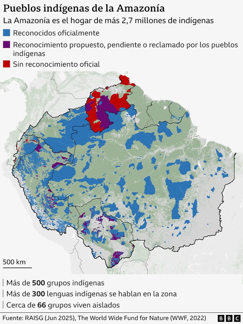 Los gráficos, mapas y fotos que muestran la lenta muerte de la Amazonía y por qué el mundo debería preocuparse