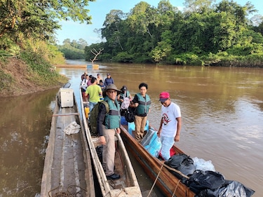 Impacto de la migración en Darién: ganancias rápidas, abandono escolar y presión ambiental