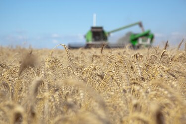 Argentina pierde $4,940 millones por invasión a Ucrania