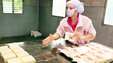 Tarea para elaborar el queso blanco