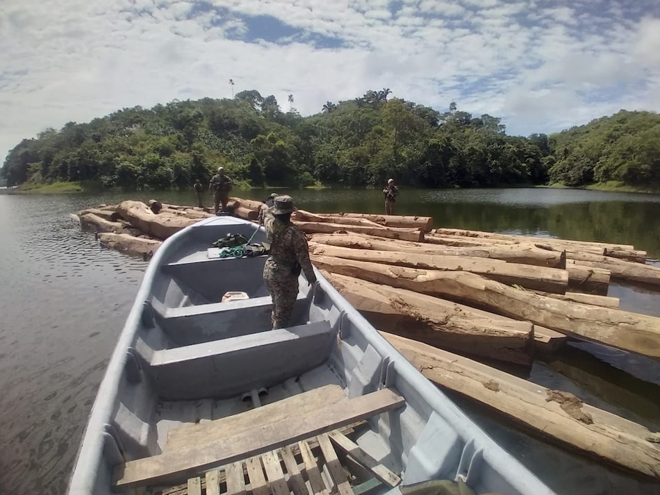 Autoridades decomisan madera extraída del lago Bayano