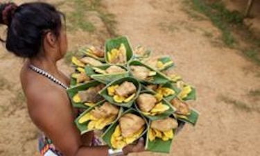 Manifestaciones folclóricas auténticas