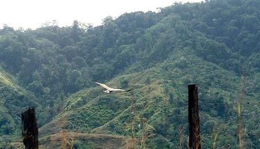 Desisten de carretera por el Parque Cerro Hoya