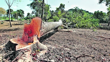 Nueva devastación en el Canal