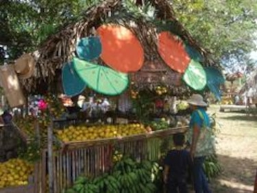 Arranca el IV Festival de la Naranja en Churuquita Grande