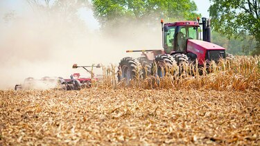 El Salvador busca la seguridad alimentaria