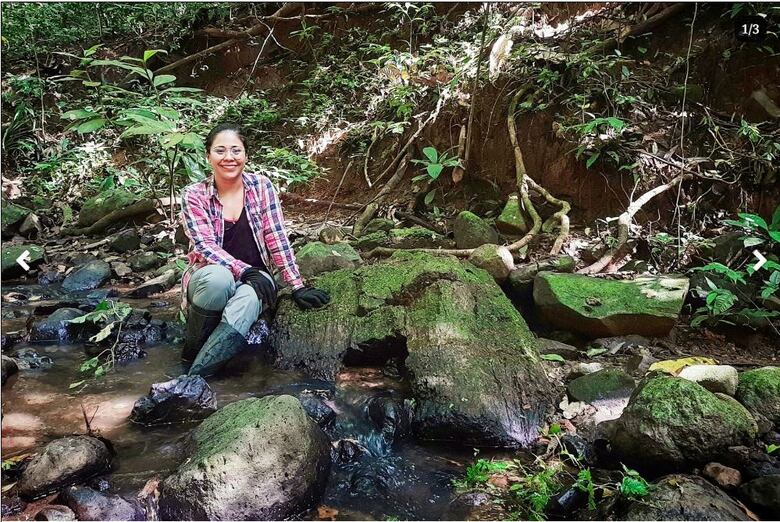 Un bosque desenterrado en Barro Colorado
