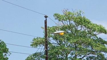 Empresarios respaldan comisión energética