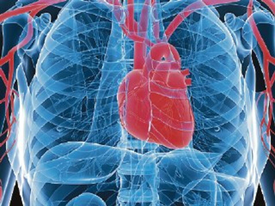 Hospital probará arteria artificial