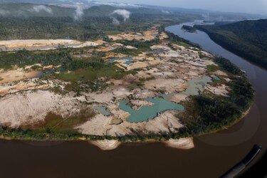Varios ecosistemas de Venezuela enfrentan ‘graves amenazas y daños’, alertan 24 ONG