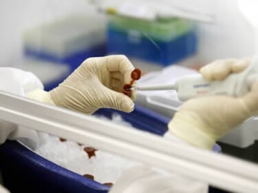 OMS confirma 3 mil 440 casos de nueva gripe