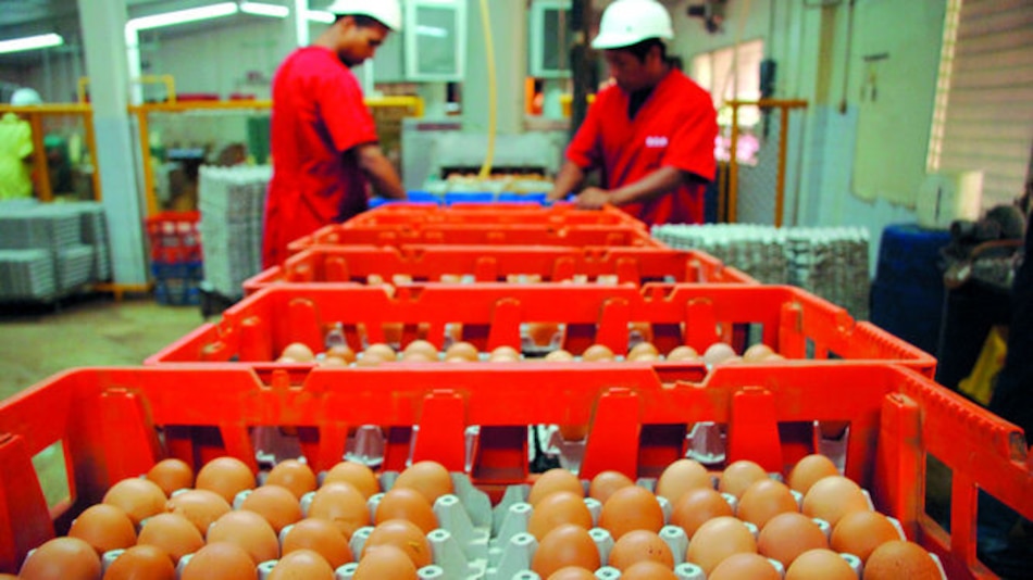 Año agridulce para Grupo Melo