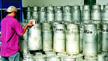 Producción lechera en Azuero cae 50%