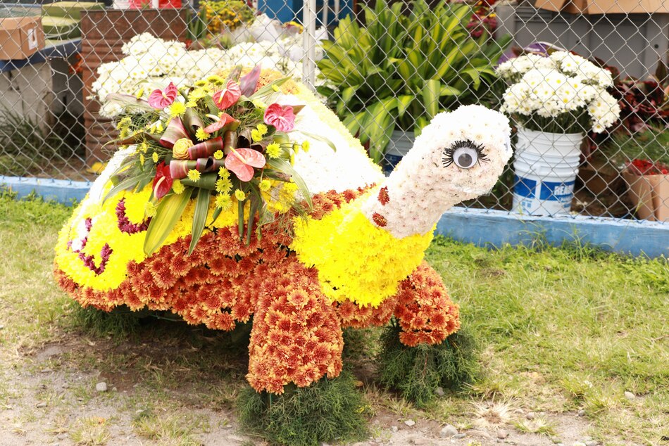 Un viaje por el color y el aroma de las flores que adornan las calles de Volcán