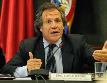 Titular de la OEA condena hostigamientos contra Lilian Tintori