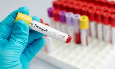 Panamá acumula más de 15,600 casos de dengue y 26 muertes en 2025, reporta el Minsa
