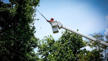 Trabajos de mantenimiento en la red eléctrica del 28 de abril al 4 de mayo 2025