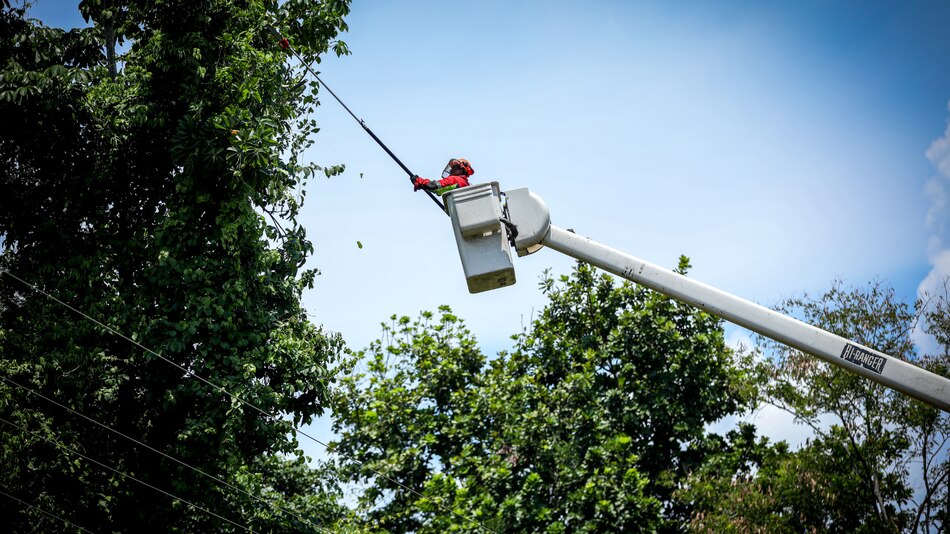 Trabajos de mantenimiento en la red eléctrica del 28 de abril al 4 de mayo 2025