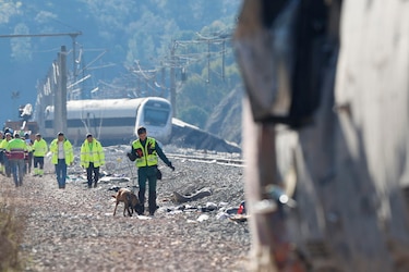 Se elevan a 41 los muertos en el accidente de dos trenes en España
