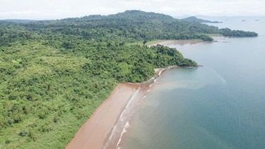 Consejo Directivo de Coiba exige información sobre traslado de reos al área protegida