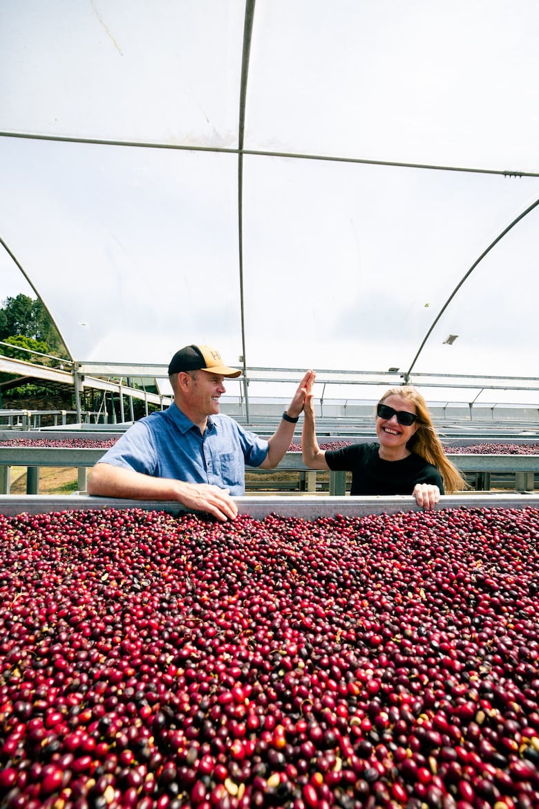 El secreto del geisha panameño: la historia detrás del café más caro del mundo 