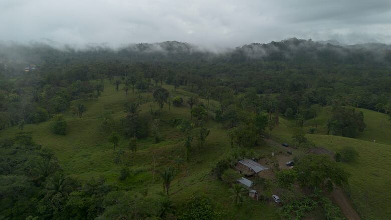 ¿Cuánto cuesta un palo de mango? El relato de un pueblo que se niega a desaparecer