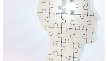 Científicos estudian el envejecimiento