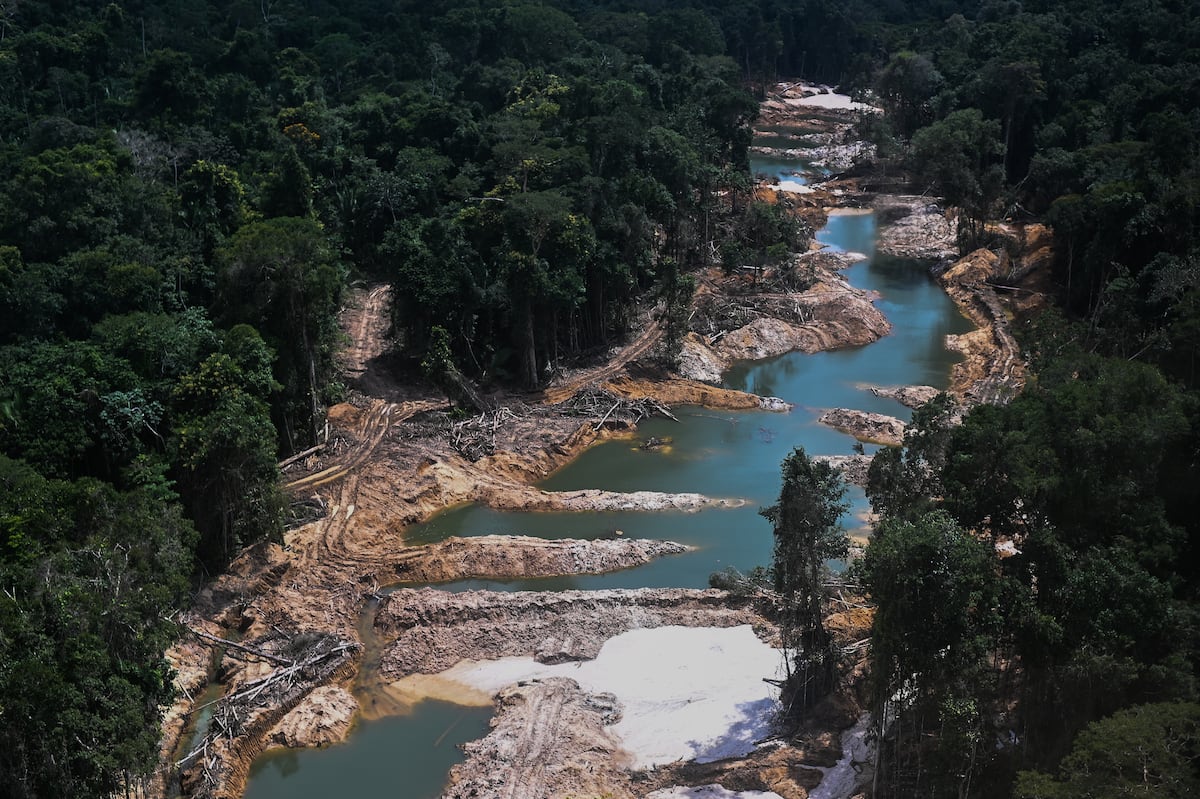 Los brasileños llegan al Día Mundial del Medio Ambiente entre la aprensión y la fatiga