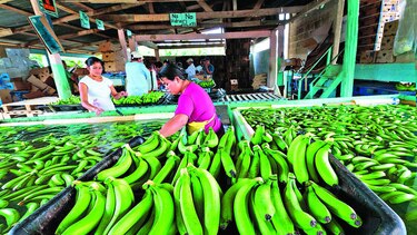 México y la Unión Europea cerrarían acuerdo este año
