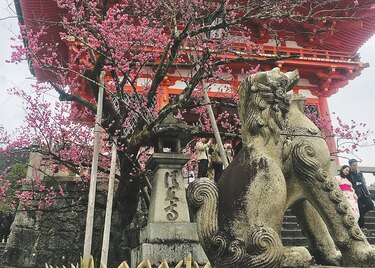 Un abrebocas para conocer la cultura japonesa