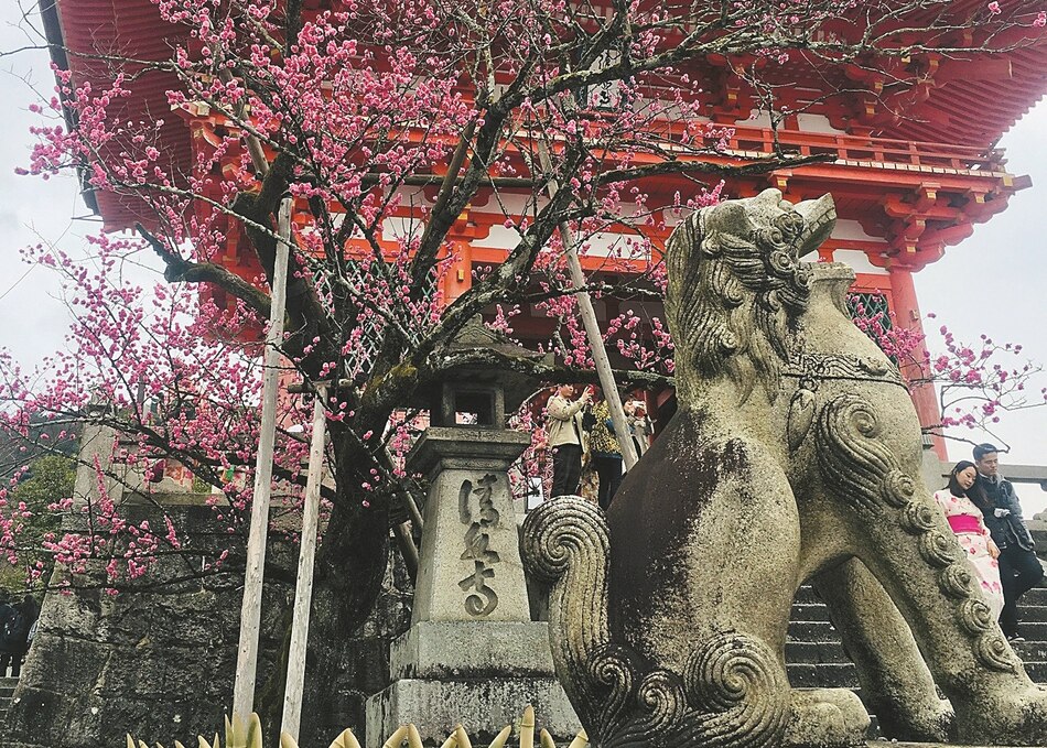 Un abrebocas para conocer la cultura japonesa