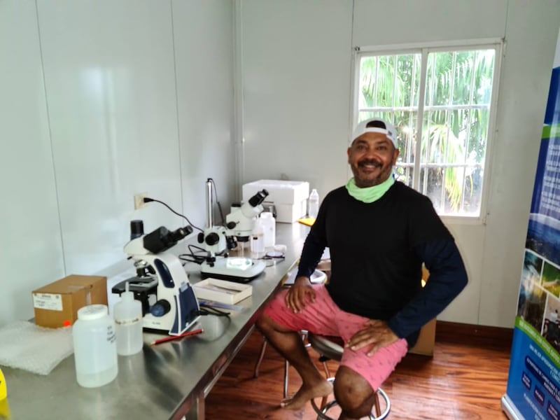 Revelan el ADN del ceviche panameño