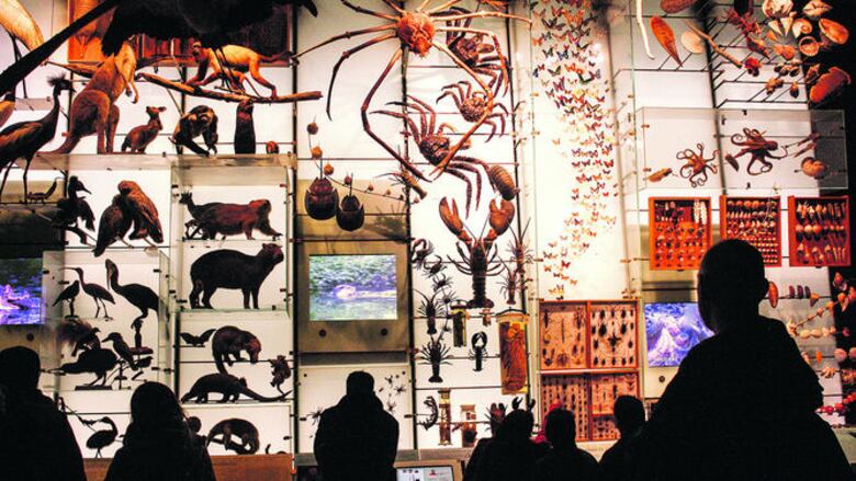 La esencia de la historia natural