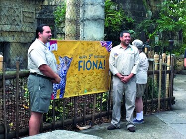 Celebran el cumpleaños de Fiona