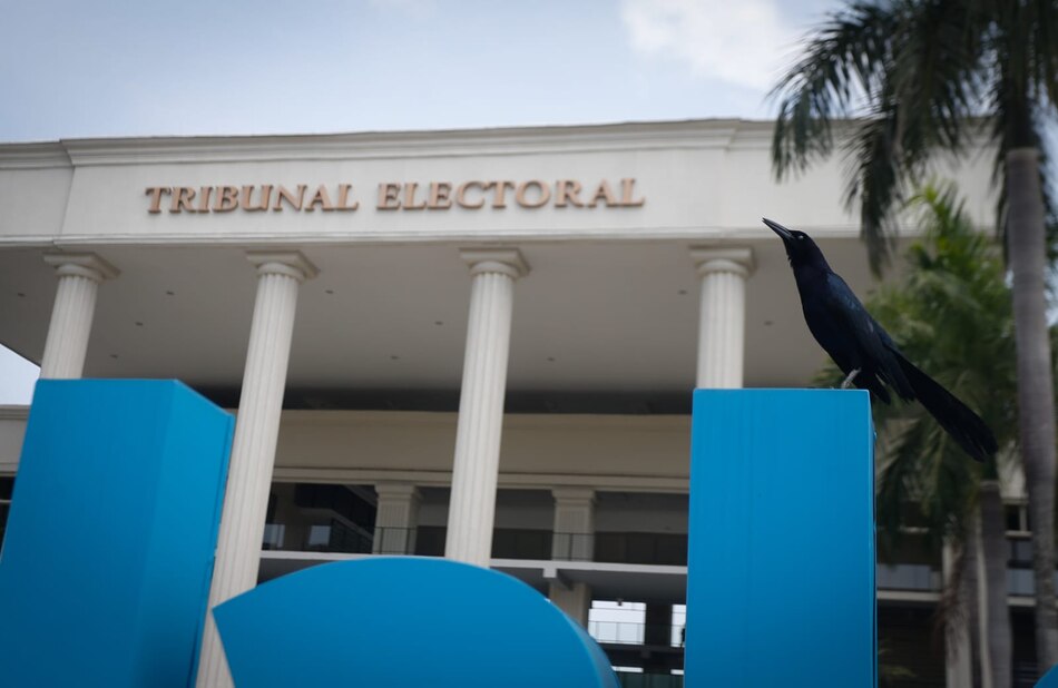 Estas son las fechas, lugares y horarios de los cierres de campaña de los candidatos presidenciales