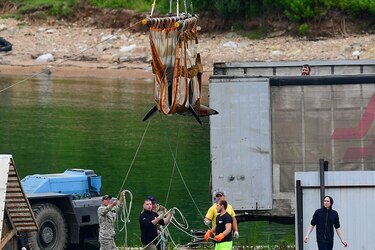 Rusia libera a las últimas ballenas belugas cautivas en estanques