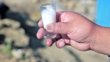 El secreto de la leche de burra