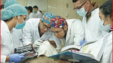 Facultad de Medicina, en espera