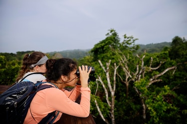 Panamá se consolida como destino para la observación de aves en el Global Big Day