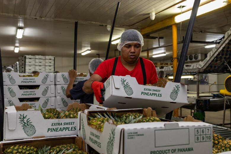 Exportaciones panameñas crecen pese a la salida del cobre