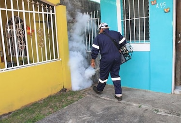 Multas de $50 a $100 mil por tener criaderos de mosquitos