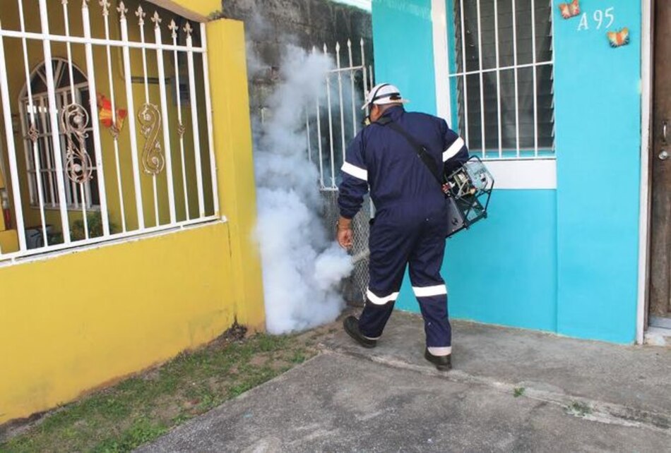 Multas de $50 a $100 mil por tener criaderos de mosquitos